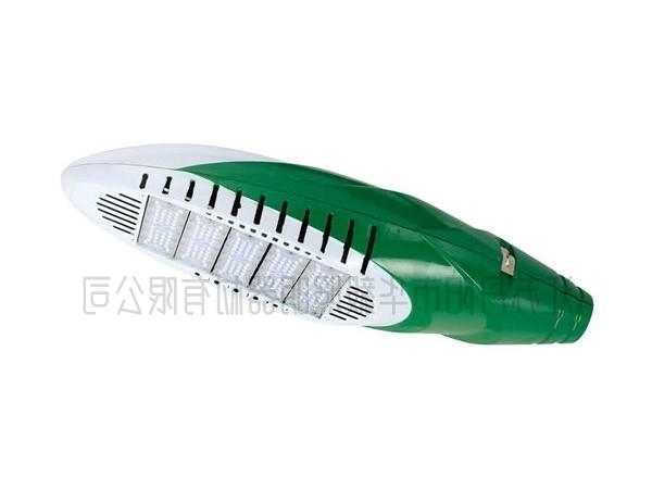 火炬灯LED模组